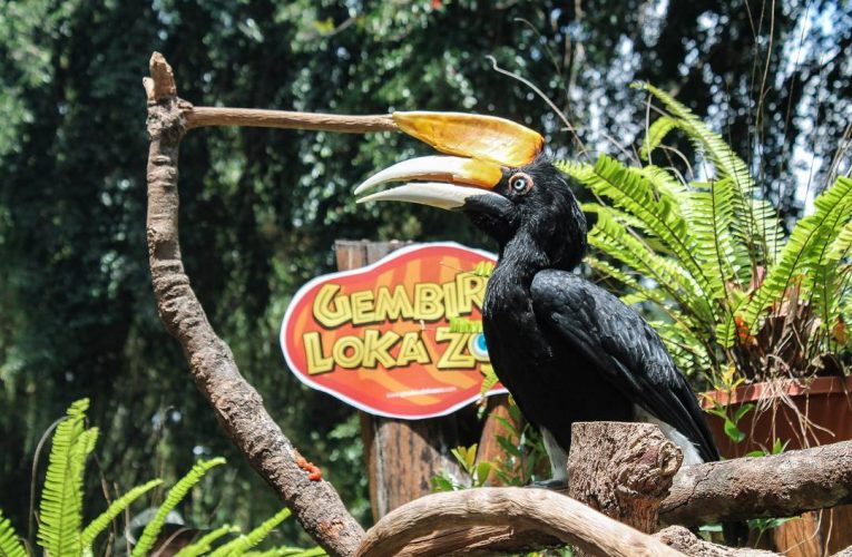 Hari Senin Ini, GL Zoo Kota Yogyakarta Siap Dibuka untuk Uji Coba